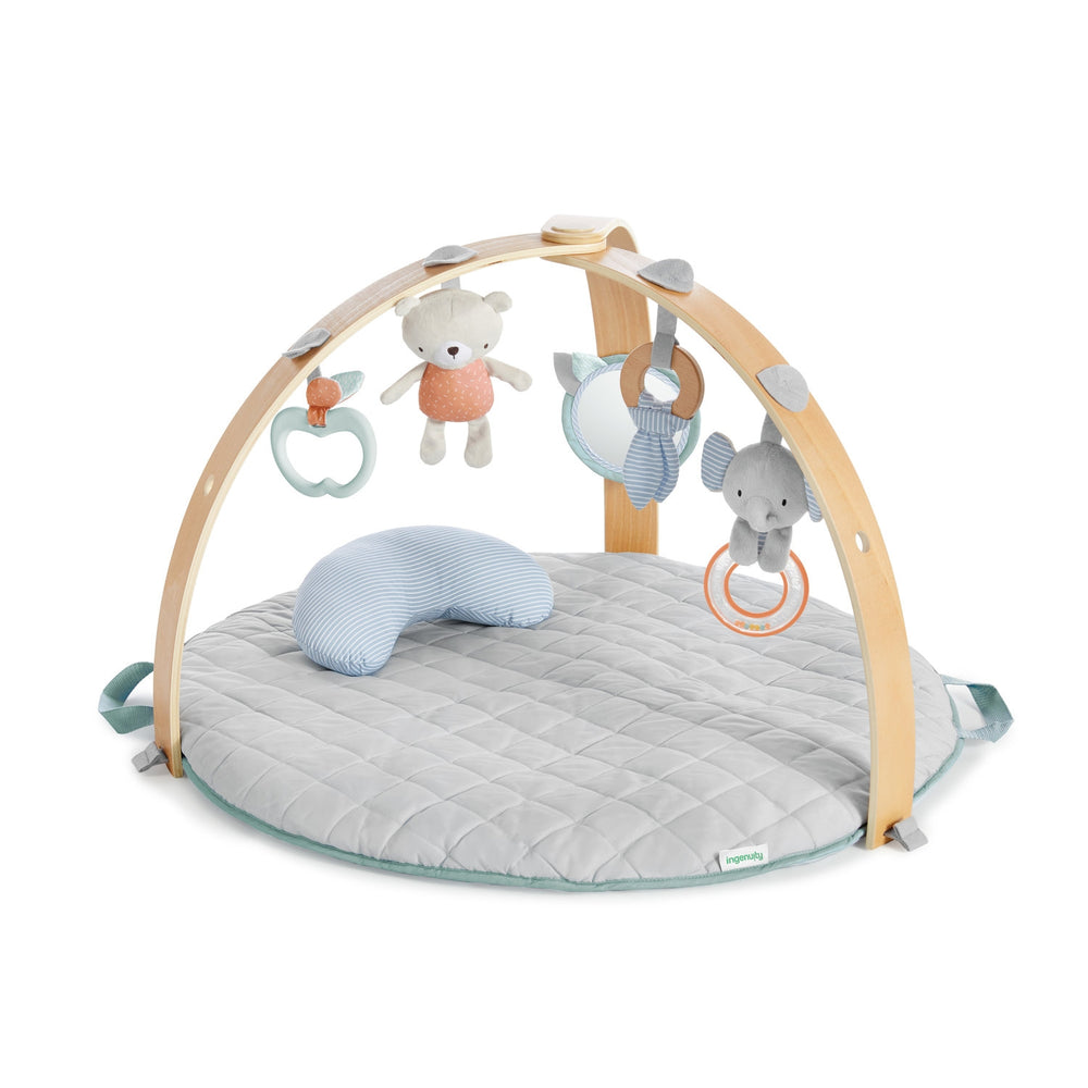 Ingenuity - Salteluta de activitati cu doua fete Cozy Spot