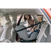 Scaun auto, FreeON, Sierra, Pentru copii, I-size, Nastere - 150 Cm, Rotire 360° grade, Tehnologie Isofix I-Size, Top Tether, Spatar reglabil, Conform cu ECE R129, Black Grey