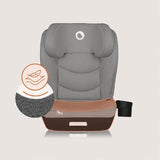 Scaun auto i-Size, Lionelo, Neal, Spatar reglabil in 4 pozitii, Tetiera in 10 pozitii, Suport sticla inclus, 15-36 Kg, 100-150 cm, Cu Isofix, Conform ECE R129, Gri