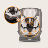 Scaun auto, Lionelo, Aart i-Size, Cu spatar inclinabil in 4 pozitii, Cu tetiera reglabila in 13 pozitii, 0-36 Kg, 40-150 cm, Cu centura siguranta in 3 puncte, Conform cu ECE R129/03, Bej