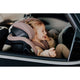 Scaun auto, Lionelo, Harmony i-Size, Rotire 360 grade, Protectie laterala, Cu spatar reglabil in 5 pozitii, Cu tetiera reglabila in 12 pozitii, 0-36 Kg, 40-150 cm, Cu Isofix, Husa din bambus, Conform cu ECE R129, Gri inchis
