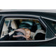 Scaun auto, Lionelo, Harmony i-Size, Rotire 360 grade, Protectie laterala, Cu spatar reglabil in 5 pozitii, Cu tetiera reglabila in 12 pozitii, 0-36 Kg, 40-150 cm, Cu Isofix, Husa din bambus, Conform cu ECE R129, Negru