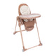 Scaun de masa Chicco Polly Armonia Terracota, 0luni+