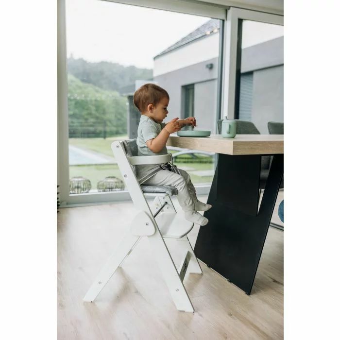 Scaun de masa, FreeON, Finny Fold, 6 luni - 15 Kg, Reglabil pe inaltime, Pernuta, Pliabil, White