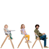 Scaun de masa multifunctional pliabil, Jane, Forest, De la 6 luni la adult, Din lemn fag, Greutate maxima 100 Kg, Sage