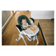 Scaun de masa si balansoar, FreeON, Oli Deluxe, 2 in 1, Transformabil, Multifunctional, Cu melodii de leagan, 0 luni+, Beige