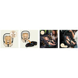 Scoica auto, Lionelo, i-Size Astrid, 0-13 Kg, 40-87 cm, Cu maner si capotina reglabile, Cu protectie laterala avansata, Salteluta confortabila, Testat ADAC, Conform cu standardul european de securitate R129, Bej
