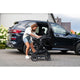 Scoica auto, Lionelo, i-Size Astrid, Include baza Isofix, 0-13 Kg, 40-87 cm, Cu maner si capotina reglabile, Cu protectie laterala avansata, Salteluta confortabila, Testat ADAC, Conform cu R129, Bej