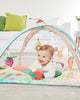 Skip Hop Salteluta de activitati – Gradina fermecata Farmstand