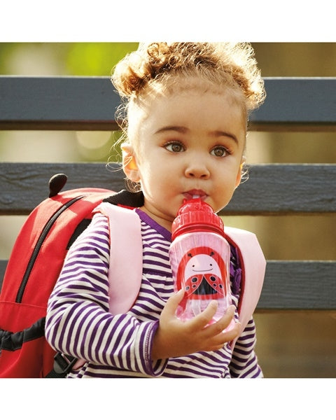 Skip Hop Sticla cu pai Zoo – Buburuza - gogobaby.ro