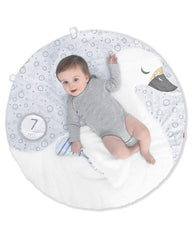 Skip Hop Salteluta Rotunda Little Swan