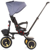 Tricicleta pliabila Chipolino Quick Fold cu sezut reversibil graphite