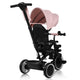 Tricicleta copii, Lionelo, Berry, 2 in 1, Multifunctionala, Suport picioare, Control al directiei, Scaun reversibil, Rotire 360 grade, Functie de roata libera, Utilizare pana la 5 ani, Constructie din otel, Conform cu standardul EN71, Roz