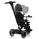 Tricicleta copii, Lionelo, Berry, 2 in 1, Multifunctionala, Suport picioare, Control al directiei, Scaun reversibil, Rotire 360 grade, Functie de roata libera, Utilizare pana la 5 ani, Constructie din otel, Conform cu standardul EN71, Gri