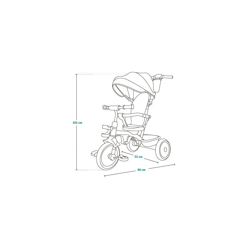 Tricicleta copii, Lionelo, Berry, 2 in 1, Multifunctionala, Suport picioare, Control al directiei, Scaun reversibil, Rotire 360 grade, Functie de roata libera, Utilizare pana la 5 ani, Constructie din otel, Conform cu standardul EN71, Verde - gogobaby.ro