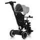 Tricicleta copii, Lionelo, Berry, 2 in 1, Multifunctionala, Suport picioare, Control al directiei, Scaun reversibil, Rotire 360 grade, Functie de roata libera, Utilizare pana la 5 ani, Constructie din otel, Conform cu standardul EN71, Gri