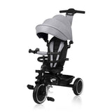 Tricicleta copii, Lionelo, Berry, 2 in 1, Multifunctionala, Suport picioare, Control al directiei, Scaun reversibil, Rotire 360 grade, Functie de roata libera, Utilizare pana la 5 ani, Constructie din otel, Conform cu standardul EN71, Gri