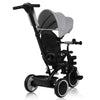 Tricicleta copii, Lionelo, Berry, 2 in 1, Multifunctionala, Suport picioare, Control al directiei, Scaun reversibil, Rotire 360 grade, Functie de roata libera, Utilizare pana la 5 ani, Constructie din otel, Conform cu standardul EN71, Gri