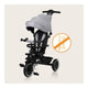 Tricicleta copii, Lionelo, Berry, 2 in 1, Multifunctionala, Suport picioare, Control al directiei, Scaun reversibil, Rotire 360 grade, Functie de roata libera, Utilizare pana la 5 ani, Constructie din otel, Conform cu standardul EN71, Gri