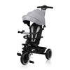 Tricicleta copii, Lionelo, Berry, 2 in 1, Multifunctionala, Suport picioare, Control al directiei, Scaun reversibil, Rotire 360 grade, Functie de roata libera, Utilizare pana la 5 ani, Constructie din otel, Conform cu standardul EN71, Gri