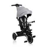Tricicleta copii, Lionelo, Berry, 2 in 1, Multifunctionala, Suport picioare, Control al directiei, Scaun reversibil, Rotire 360 grade, Functie de roata libera, Utilizare pana la 5 ani, Constructie din otel, Conform cu standardul EN71, Gri
