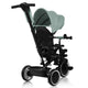 Tricicleta copii, Lionelo, Berry, 2 in 1, Multifunctionala, Suport picioare, Control al directiei, Scaun reversibil, Rotire 360 grade, Functie de roata libera, Utilizare pana la 5 ani, Constructie din otel, Conform cu standardul EN71, Verde