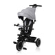 Tricicleta copii, Lionelo, Berry, 2 in 1, Multifunctionala, Suport picioare, Control al directiei, Scaun reversibil, Rotire 360 grade, Functie de roata libera, Utilizare pana la 5 ani, Constructie din otel, Conform cu standardul EN71, Gri