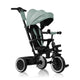 Tricicleta copii, Lionelo, Berry, 2 in 1, Multifunctionala, Suport picioare, Control al directiei, Scaun reversibil, Rotire 360 grade, Functie de roata libera, Utilizare pana la 5 ani, Constructie din otel, Conform cu standardul EN71, Verde