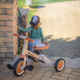 Tricicleta, Petite&Mars, Turbo, Editie limitata, 5 in 1, Multifunctionala, Vehicul de impins, Bicicleta cu/fara pedale, Cu maner de ghidaj, Detasabil, Roti din cauciuc, Pana la 25 kg, 1.5-5 ani, Llama Vibes