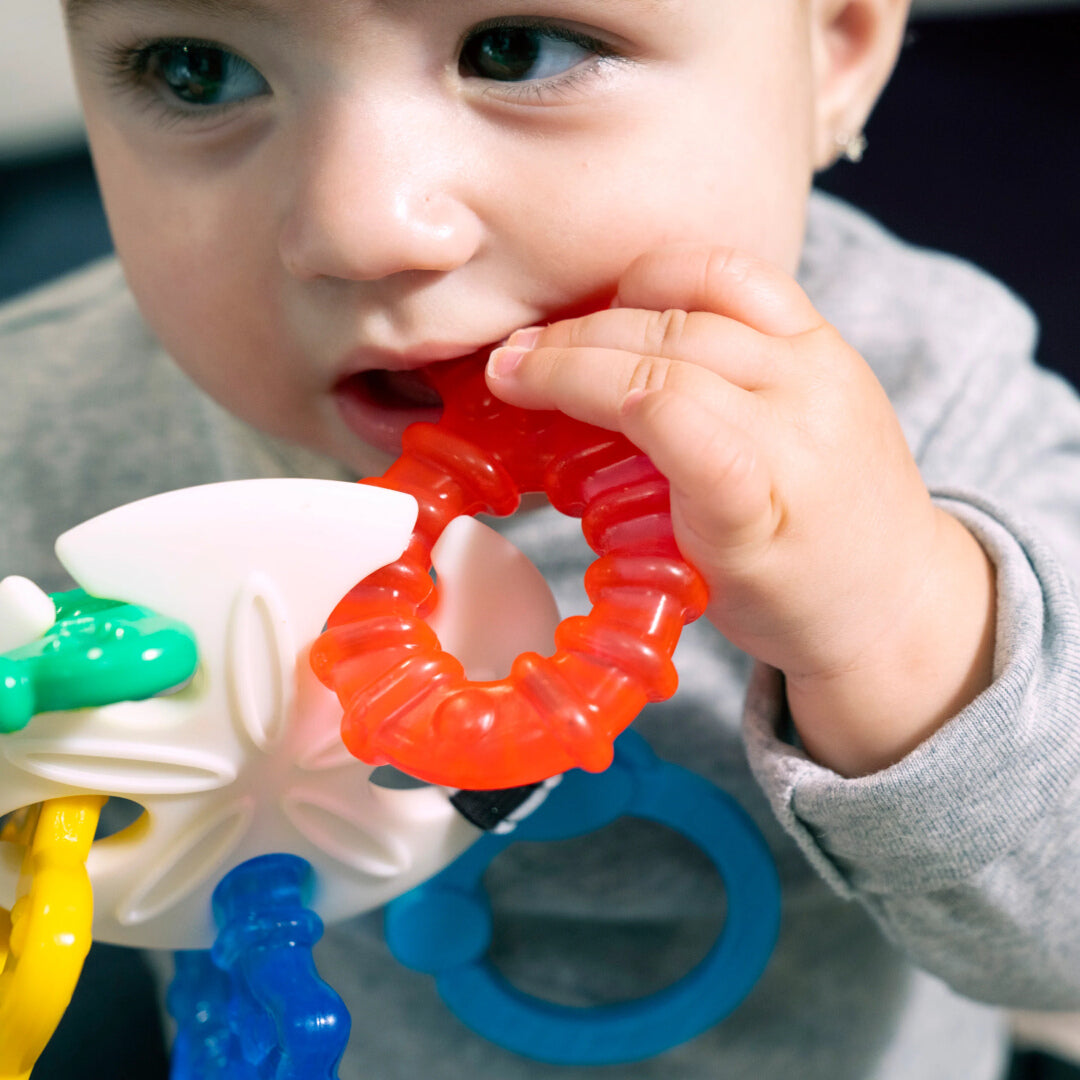 Baby Einstein - Jucarie de Dentitie Ocean Explorers Sea of Sensory - gogobaby.ro